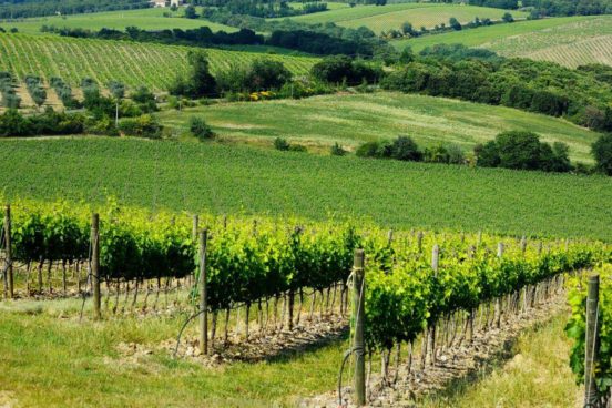 Vert l'avenir_photo Paysage