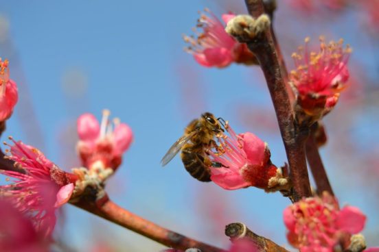 55731043_303924673614863_541266914106671104_o