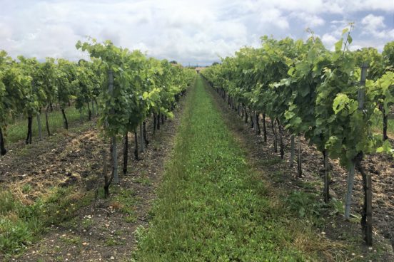 LeNegocelafait_bandeau clair