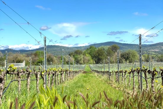 IMG-20210505-WA0009 IMG-20210505-WA0009